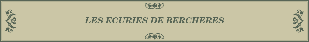 LES ECURIES DE BERCHERES